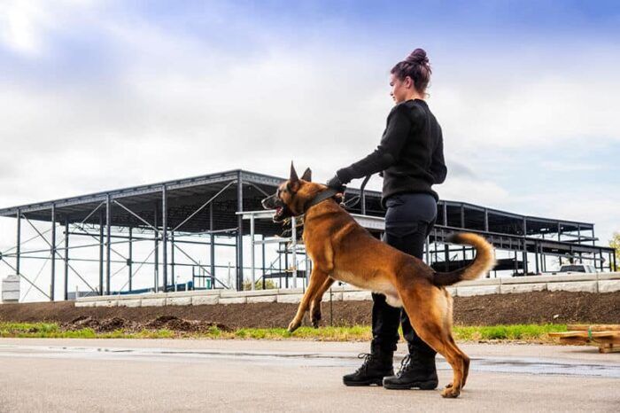 Person mit Hund vor Baustelle