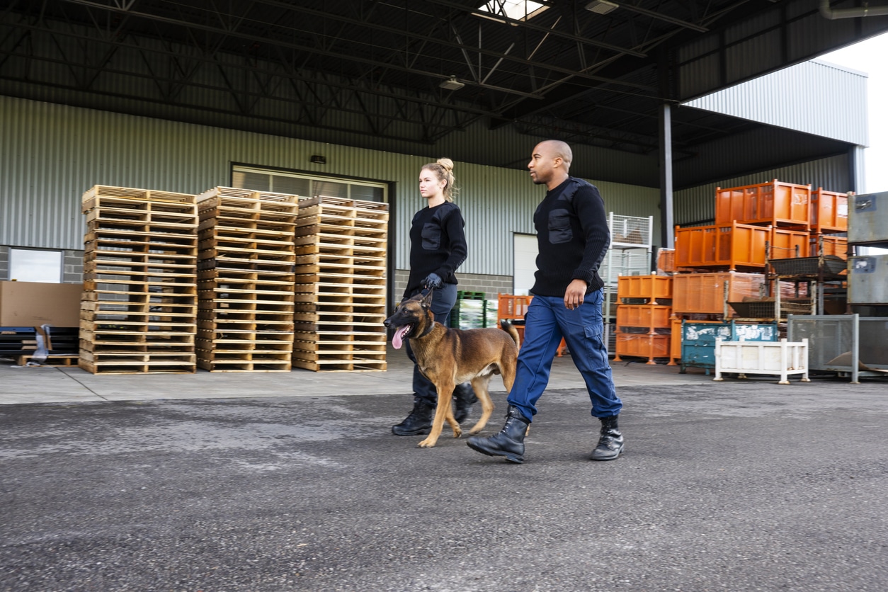 Wachdienst mit Hund